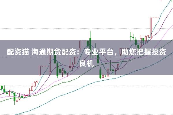 配资猫 海通期货配资：专业平台，助您把握投资良机