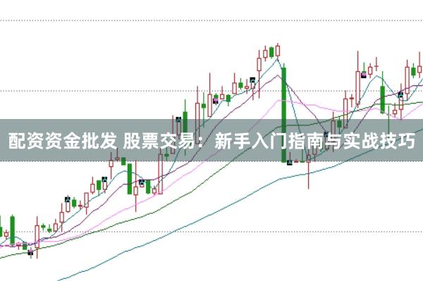 配资资金批发 股票交易：新手入门指南与实战技巧