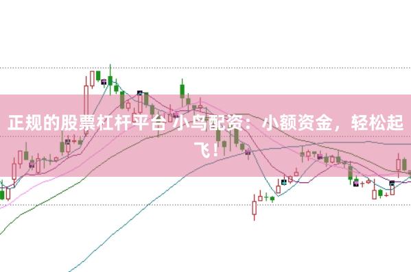 正规的股票杠杆平台 小鸟配资:小额资金,轻松起飞!