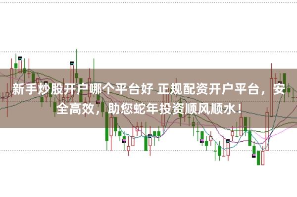 新手炒股开户哪个平台好 正规配资开户平台，安全高效，助您蛇年投资顺风顺水！